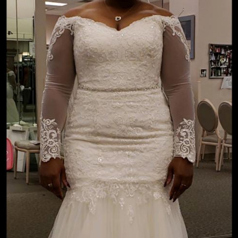 David bridal gown